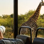 Perfect Safari Tour,