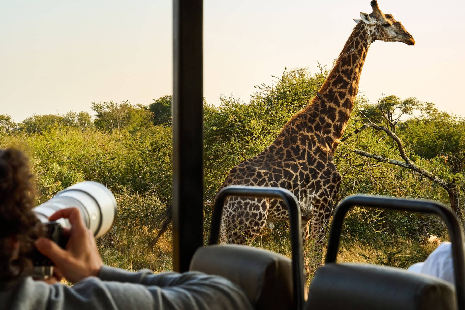 Perfect Safari Tour,